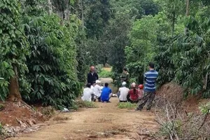 Đắk Nông: 3 cha con tử vong trong chòi rẫy