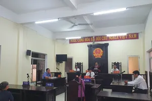 Vụ dì đưa cháu ra tòa: Tòa trả hồ sơ, VKS giữ nguyên truy tố