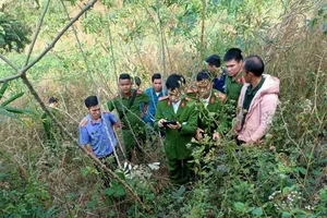 Khu vực xảy ra sự việc. Ảnh: Q.MINH