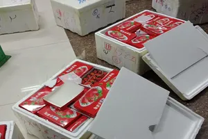 Dâu tây trong thùng xốp ghi chữ Trung Quốc 'bay' vào Đà Lạt