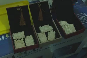 Cất giấu gần 700 sản phẩm trang sức từ ngà voi trong nhà