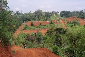 Đắk Nông: Rầm rộ san đồi, mở đường trái phép