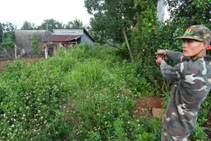 Trộm 3 con bò rồi thuê ô tô chở đi bán