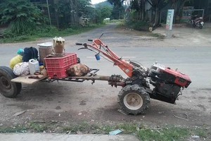 'Độ' máy xới thành xe cày, anh K'panh chở gia đình từ Lâm Đồng về Phú Yên