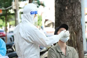 Nhiều người từ Quảng Ngãi lên Gia Lai hái cà phê mắc COVID-19