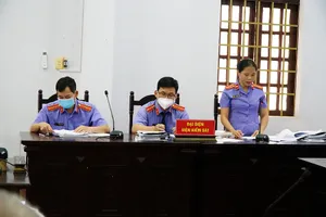 Vụ Trịnh Sướng: VKS bác quan điểm 'chỉ bị xử phạt hành chính'