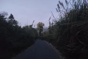 Xe tải lao xuống vực, 6 người chết, 3 người bị thương