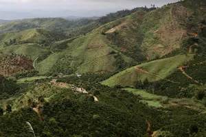  Xử lý trách nhiệm vụ để mất hơn 2.000ha rừng ở Đắk Nông