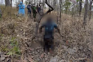 Vụ thi thể trong vườn điều: Khởi tố người vợ và nhân tình 