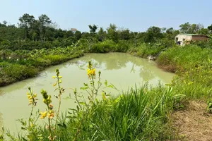 Đắk Lắk: Liên tiếp trong 2 ngày 5 học sinh chết đuối thương tâm