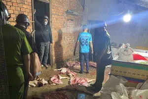 Bắt gần 1 tấn thịt heo bốc mùi hôi thối