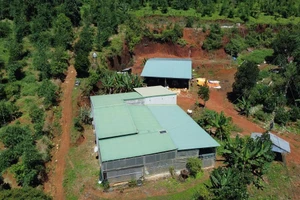  1 xã có 65 sổ hồng cấp sai quy định, nay phải thu hồi