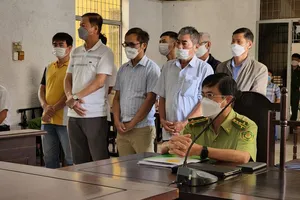 Hủy án vụ nhiều cán bộ công ty lâm nghiệp để mất rừng