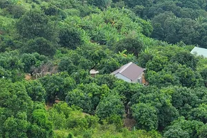 Sẽ cưỡng chế các công trình xây trái phép ở phường Ghềnh Ráng, Qui Nhơn