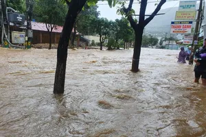 Bí thư Bình Định: 'Sống sát biển mà cứ mưa là ngập thì không chấp nhận được'