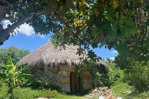 Nguyên Bí thư huyện giả chữ ký để xin giao hơn 138 ha đất rừng