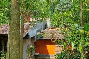 Yêu cầu xử lý nghiêm tình trạng xây dựng trái phép ở Quy Nhơn