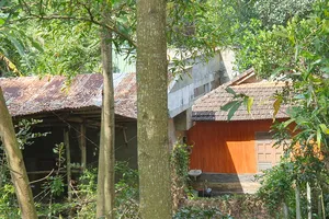 Nguyên giám đốc sở Ngoại vụ xây nhà trái phép trên đồi để… đọc sách! 