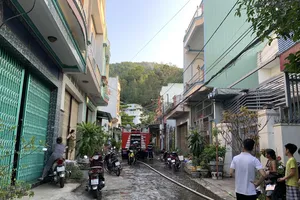 Bình Định: Cháy rừng trên núi Bà Hoả 