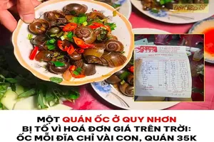 Bình Định kiểm tra thông tin '28 người ăn 74 dĩa ốc bị 'chặt chém' 4,6 triệu đồng'