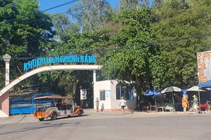 Bình Định chấn chỉnh các hoạt động kinh doanh dịch vụ tự phát