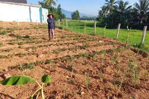 Đổ đất để trồng hoa màu, bị phạt vì 'hành vi hủy hoại đất'