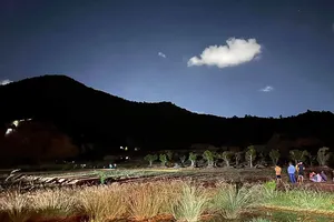 1 phụ nữ tử vong tại núi Bà Hoả trong lúc đi tìm rễ cây làm thuốc