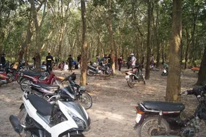 Bình Dương: Vứt đồ đánh bạc, chạy tán loạn trong rừng cao su