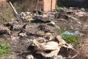 Lén đổ chất thải ra môi trường bị bắt quả tang