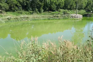 Một em nhỏ đuối nước thương tâm ở Bình Dương