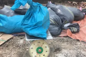 Xe khách chở nửa tấn thịt thối