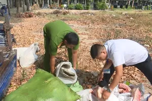 Bình Dương tiêu hủy hơn 1,2 tấn thịt heo thối