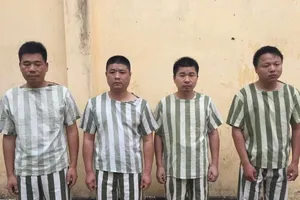 Khởi tố 14 người Trung Quốc tổ chức đánh bạc trong công ty