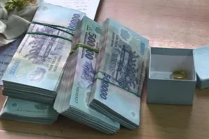 Bình Dương: Người giúp việc lấy trộm hơn 270 triệu đồng