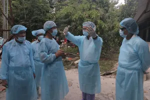 Dịch tả heo châu Phi có nguy cơ lan rộng ở Bình Dương