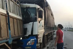 Dừng lại vá vỏ, tài xế xe tải ở Bình Dương bị tông chết thảm