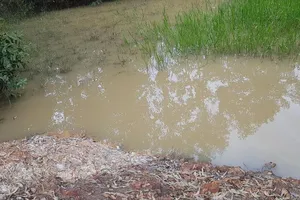 Bình Phước: Bé trai hai tuổi tử vong thương tâm dưới ao nước