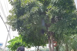 Hoảng hốt khi thấy người đàn ông chết trong tư thế treo cổ