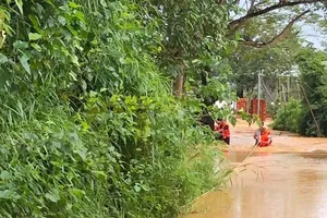 Lũ tràn về TP Đồng Xoài, hàng trăm hộ dân phải sơ tán