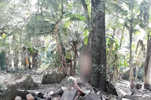 Bình Dương: Người đàn ông treo cổ trên cây me trước nhà