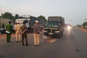 Nhặt thanh gỗ giữa đường, người đàn ông bị ô tô tông tử vong