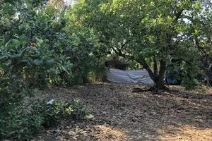 Phát hiện thi thể bé gái trong bao tải