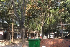 Người đàn ông chết bất thường trong phòng trọ ở Bình Dương