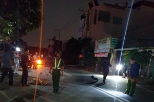 Nam thanh niên chết thảm khi tông vào đàn trâu ở Bình Dương