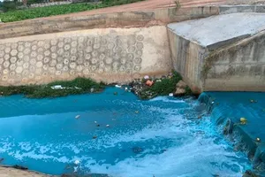 Bình Dương: Nước suối chuyển thành màu xanh, bốc mùi khó chịu