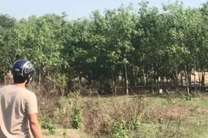 Bình Dương: Một thi thể cháy đen cạnh xe máy có 2 nón bảo hiểm