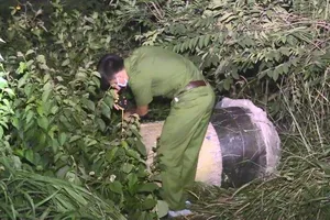 Truy tố 4 phụ nữ giết người rồi đổ bê tông giấu xác 