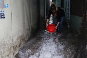 Bình Dương: 40 ha hoa màu và lúa ngập sâu sau trận mưa lớn