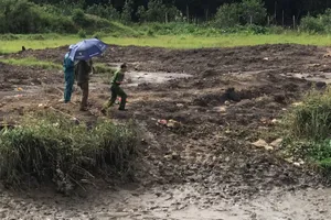 Tài xế container lao xuống cứu trẻ giữa dòng nước