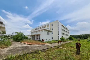 Bình Dương: Bệnh viện hàng trăm tỉ thành nơi trú ngụ của bò